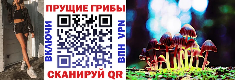KRAKEN маркетплейс  Грайворон  Галлюциногенные грибы Psilocybine cubensis 